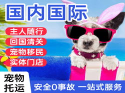 常德桃花源空运国际宠物托运 【国